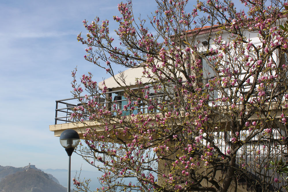 ¡Menudo día!. La primavera en todo su esplendor. #Vamos