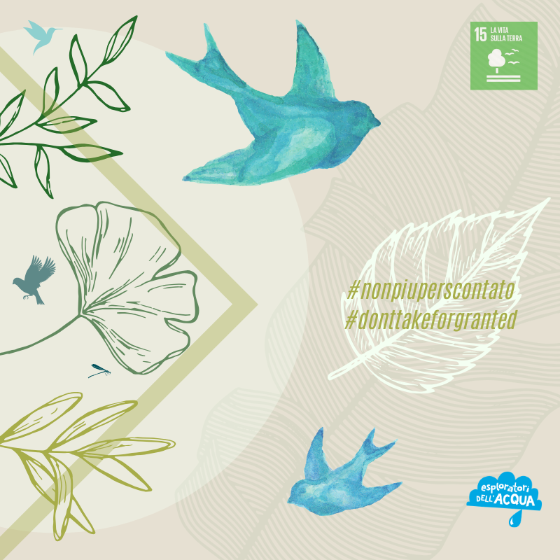 InEuropa_UE's tweet photo. 💧🌍Sfida #WaterExplorer con #SDG nº 15: “Proteggere, ripristinare e favorire un uso sostenibile dell’ecosistema terrestre”.
🌱Pensa alla #vitasullaterra, cosa ti viene in mente? #nonpiuperscontato #donttakeforgranted
https://t.co/itGVeBl4Fo https://t.co/F2eWutTGoq