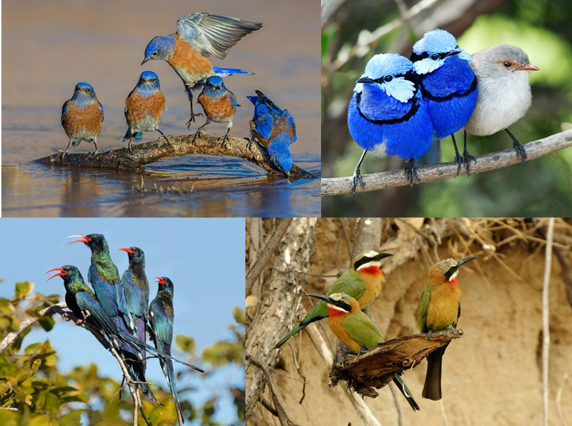 Amy Leedale tweet media