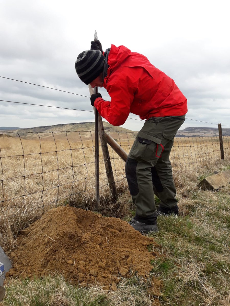 MarsdenmoorNT's tweet image. Our rangers have been working hard to keep the moors safe for everyone during lockdown... repairing fences, hanging gates and improving access for the fire service. #lockdown #essentialwork #bemooraware