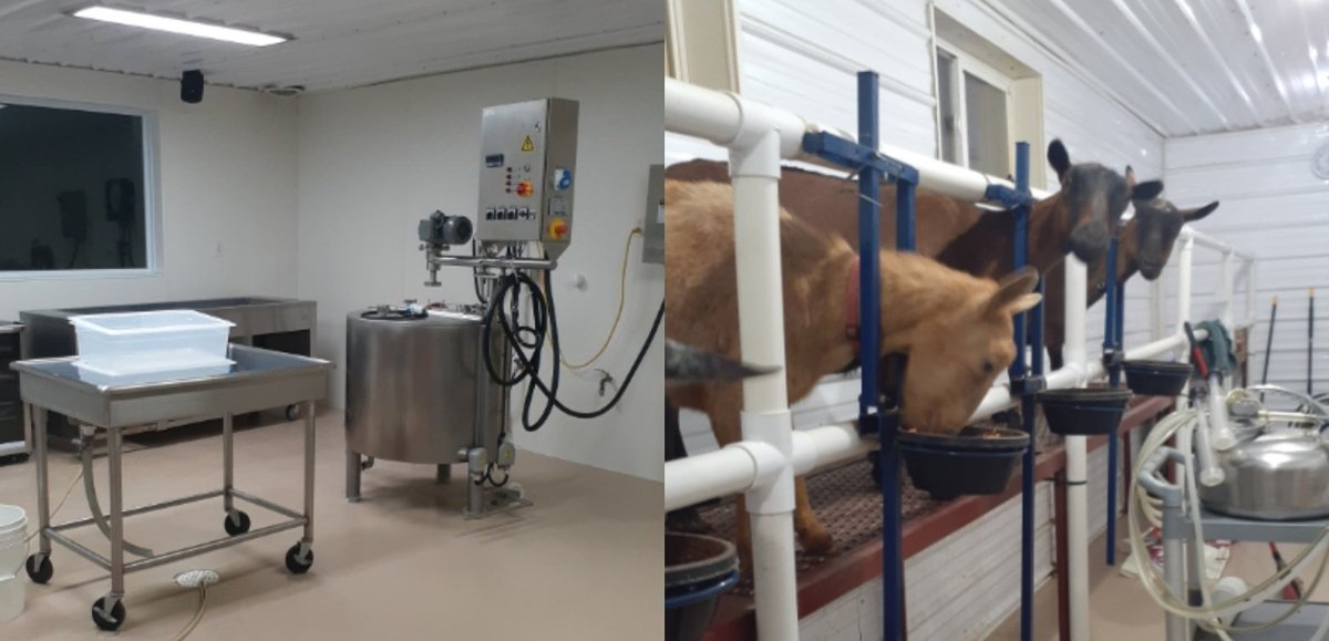 caprinicreamery tweet media