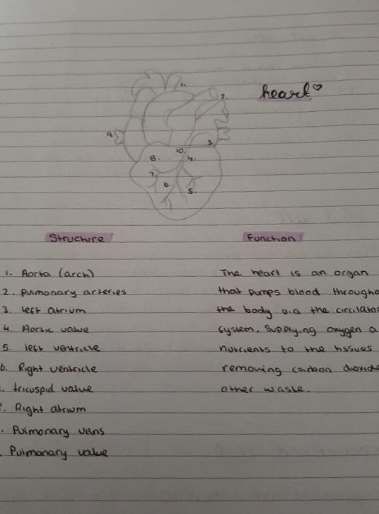 Home learning tasks from last week. Year 7 (Amelie and Aliha) and 8 (Kathryn and Dhaya) Very impressed with the quality and efforts  👏 #scienceathome #reviewing #newlearning #motivation @tmcsjanzan @TimSmithCEO <a href="/MC_MissSpencer/">Miss Spencer</a> @TLatTMCS