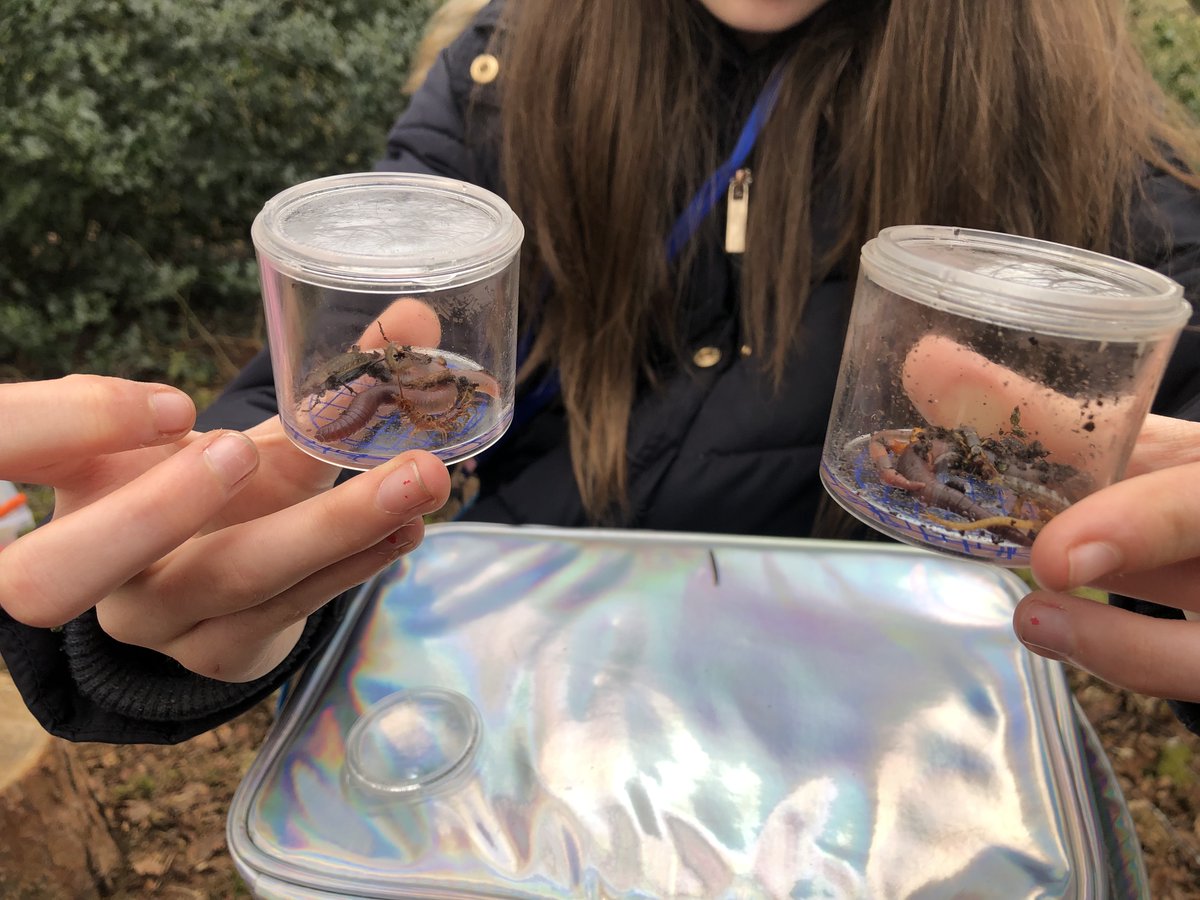 Outdoor Learning Blog - Bugs and Trees 🌲🍂🐛🐞 - mailchi.mp/73baed249052/o…