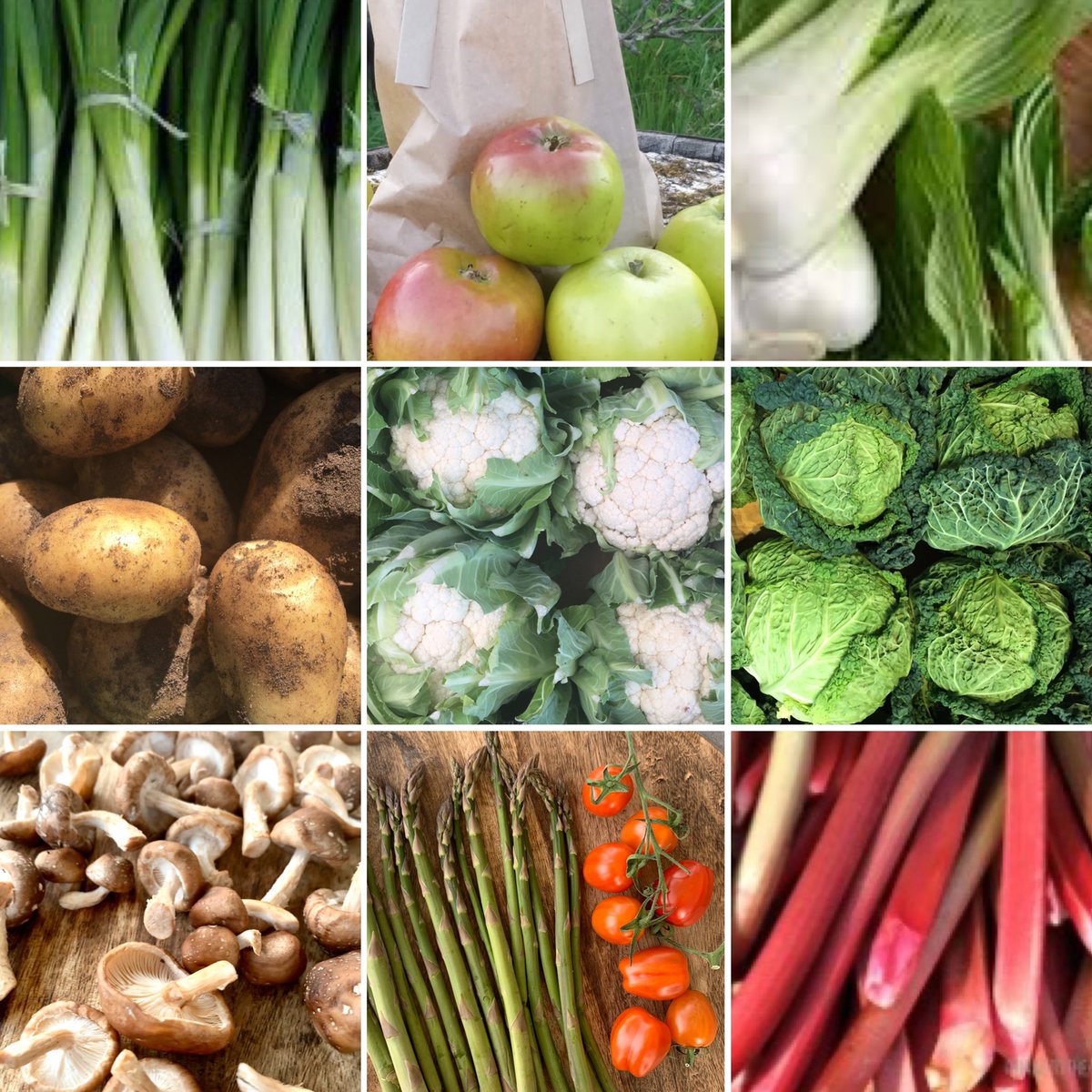 CountryCrestFS's tweet photo. Enjoy the best of in-season fruit and veg. We’re open all day today. #local #irish #7aday #CountryCrestFarmShop https://t.co/VU52jQhBq2