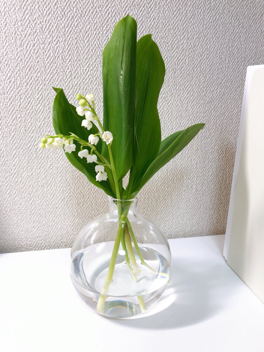 すずらんの切り花を長持ちさせるコツは 水替えと飾る場所が大切 来週はきっと晴れ