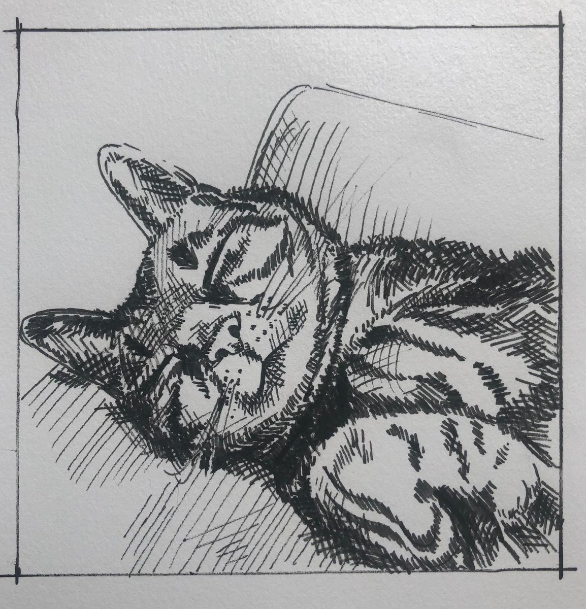 rood_arts's tweet photo. Miss Wade doesn’t have cat so she drew one, he’s not as cute as he looks - he’s a monster really #makebelive #characters #eadailychallenge #getcreative #cats https://t.co/ufc9ZkpqxP
