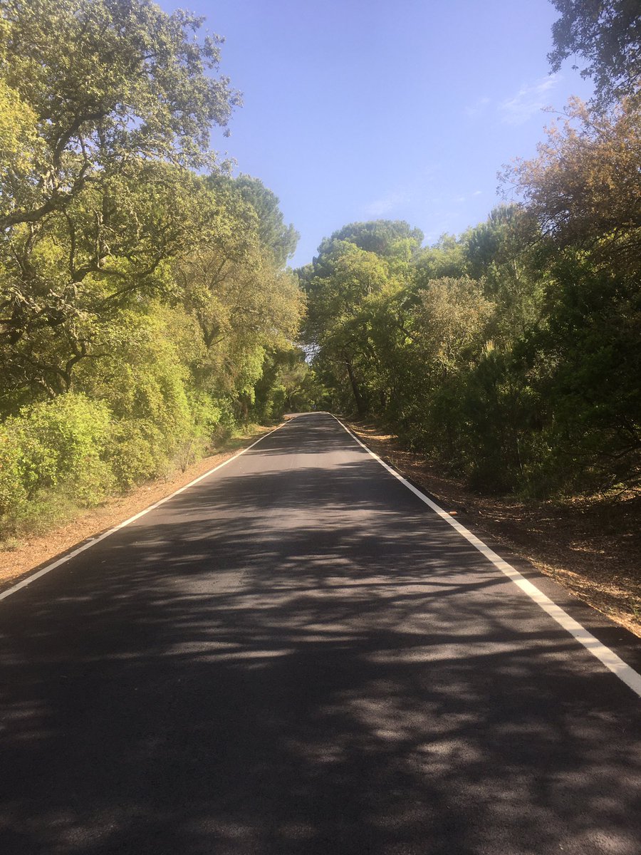 camilopuertas's tweet photo. Entrenar por entrenar? ❌
Disfrutar por disfrutar? ✅
Córdoba y Sierra Morena en mayo 🙌
#TeamDEZA @sacalenguaELA https://t.co/81sUFXexBu