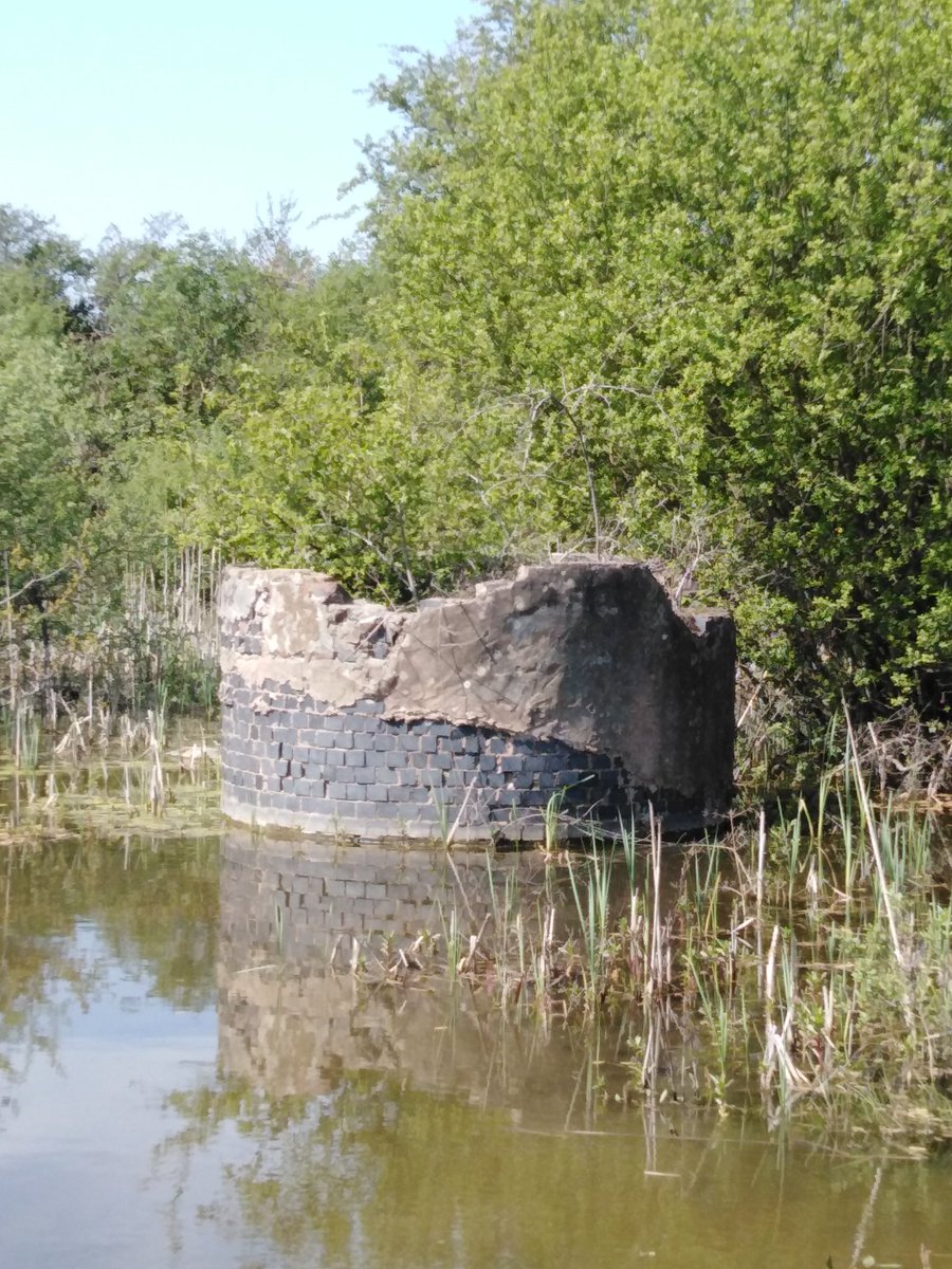 Sue Park tweet media