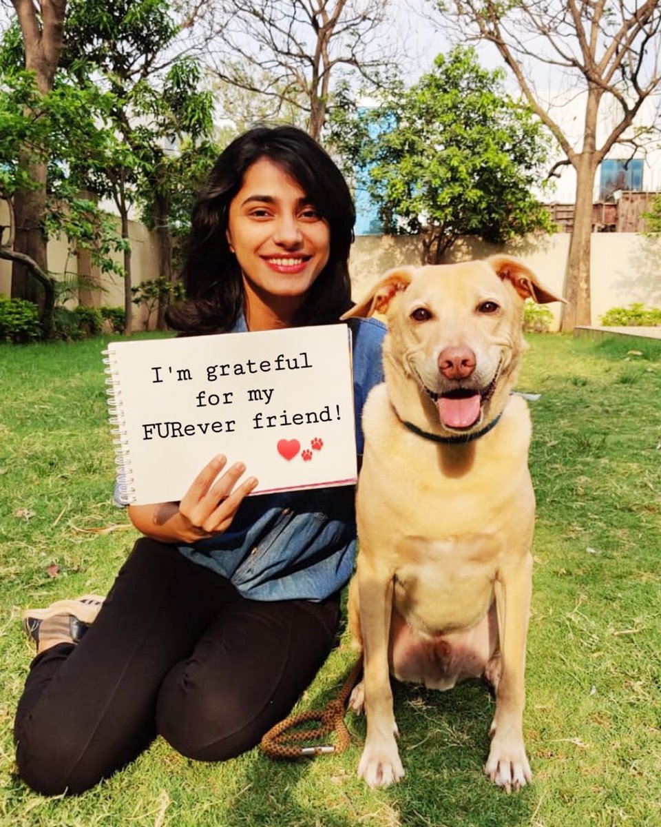 DNANETWORKSLIVE's tweet photo. Thank you for being there 🐶❤️ #IAmDNA #Paws https://t.co/ieAJ8ayllK