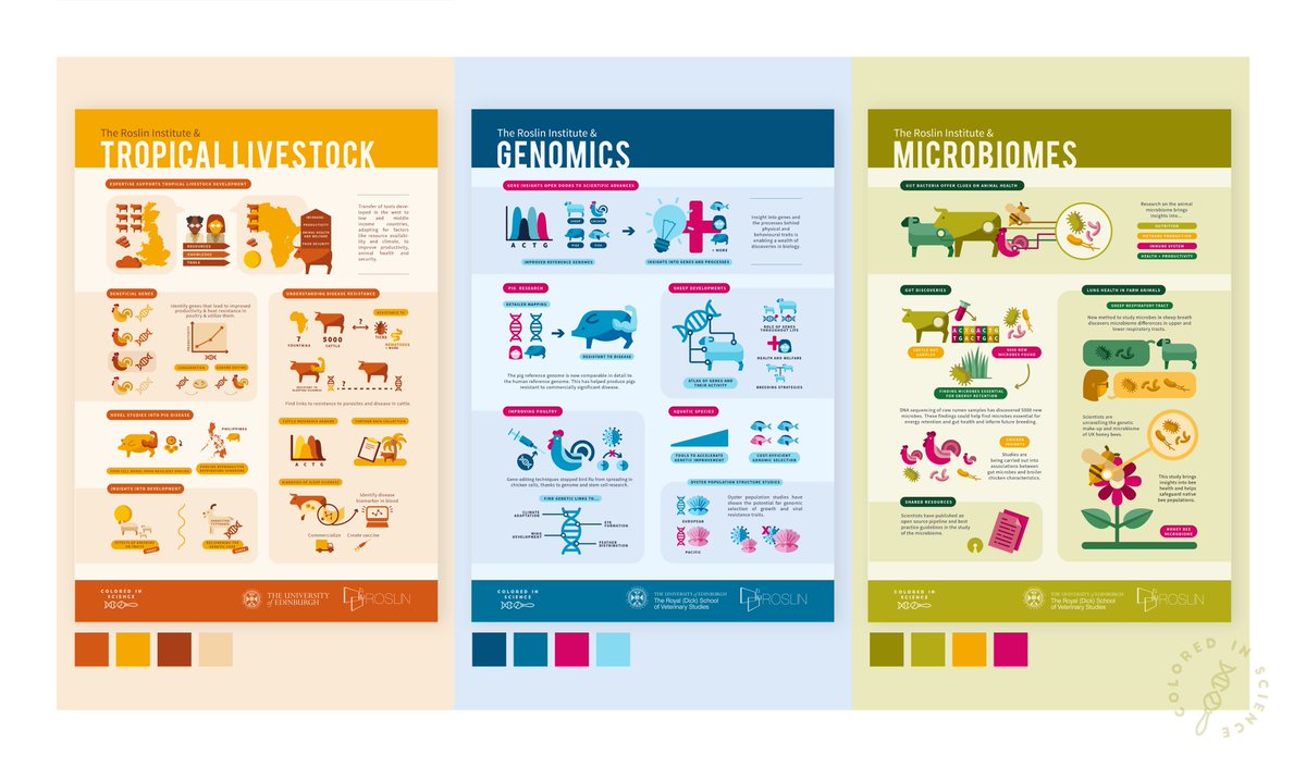 coloredinsci's tweet photo. And then there were three! The first set of infographics for the @roslininstitute research lines are now complete. https://t.co/8St9YLbDmQ
