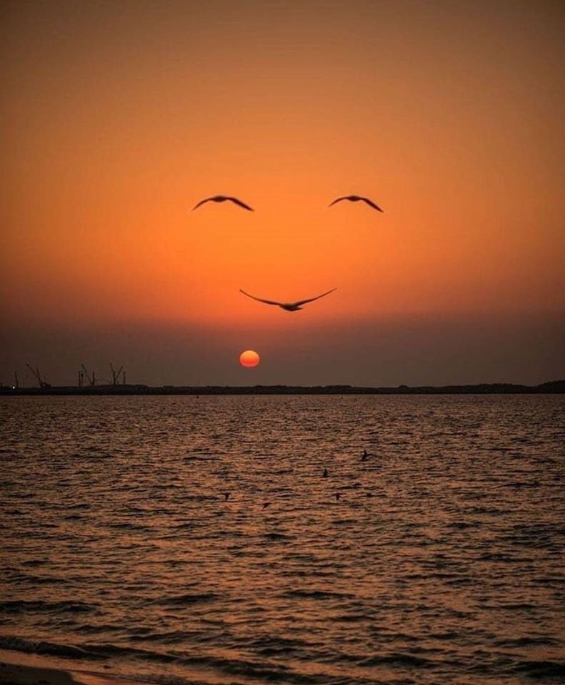 iminhere1970's tweet photo. #LittleNotes4_2day ~320~05/04/20~ Good Morning  @Sia &amp; Lovers.  Music Saved My Life. Sia Furler's Music. I Know She Hears This A Lot But It's Actually True In My Case. Thank You My Old Friend. I Love You, Keep Going~❤️ https://t.co/ZpfXrcQ8EV