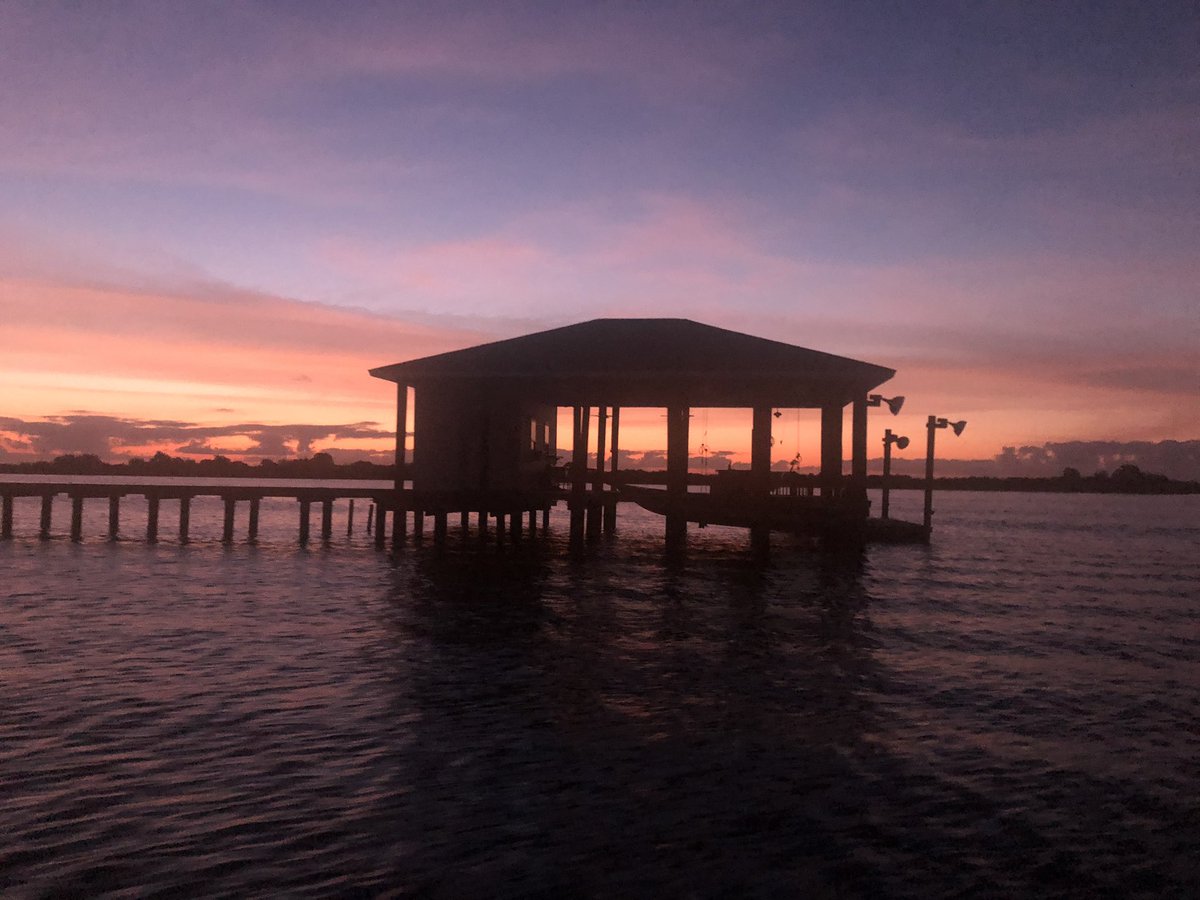 LOATV Show tweet media