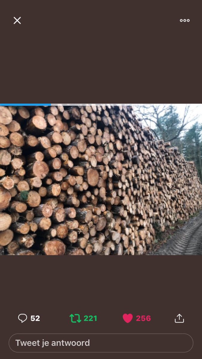 Christa26930016's tweet photo. De Biomassa die in NL word verstookt zou ook vooral uit afval- of snoeihout bestaan. #Wiebes verwacht dat die voorraad voorlopig groot genoeg is. Dat klopt niet. ,,Die reststromen zijn nu al niet toereikend: daarom zie je een nieuwe houtindustrie voor biomassa ontstaan #ontbost https://t.co/rdGttPCQE0