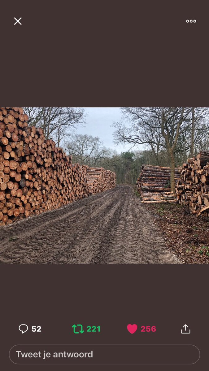 Christa26930016's tweet photo. De Biomassa die in NL word verstookt zou ook vooral uit afval- of snoeihout bestaan. #Wiebes verwacht dat die voorraad voorlopig groot genoeg is. Dat klopt niet. ,,Die reststromen zijn nu al niet toereikend: daarom zie je een nieuwe houtindustrie voor biomassa ontstaan #ontbost https://t.co/rdGttPCQE0