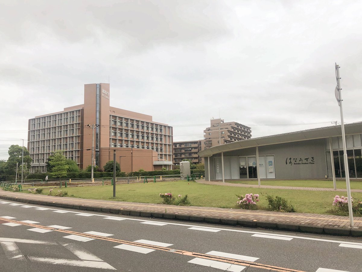 dirat_r's tweet photo. そういえばの近況報告。
実はついこないだ、今までdir@tに寄り添ってくれたあのデイリーが閉店してしまいました。。すでに空き地、
寂しいですね。。。
大学も前期すべてオンラインになり活動再開がまだまだになりそうですが、みんなで自主練、フル単目指しましょう‼️ https://t.co/RsJSDtl9K1