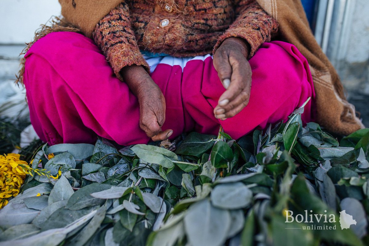 BOLIVIA’S POWERFUL CHOLITAS
 
Text and photos by: Catalina Ugalde 
 
 Read more here: bolivianexpress.org/blog/posts/bol…
 
#Tourism #Bolivia #BolivianExpress #Travel #Journalism #Culture #cuarentena #quarantine #YearAbroad #Photojournalism #Magazine