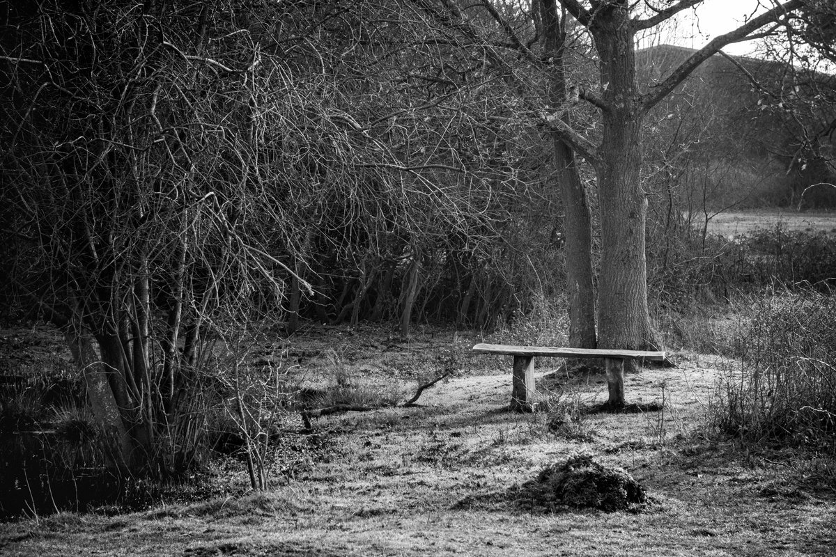 NilsScarbro's tweet photo. Croxley Common Moor

#SonyRX100

#blackandwhite #blackandwhitephotography #monochrome #bnw #bnwphotography
#monochromatic 
#bnwlandscape #bnw_landscape https://t.co/VZ7mVyMPW3