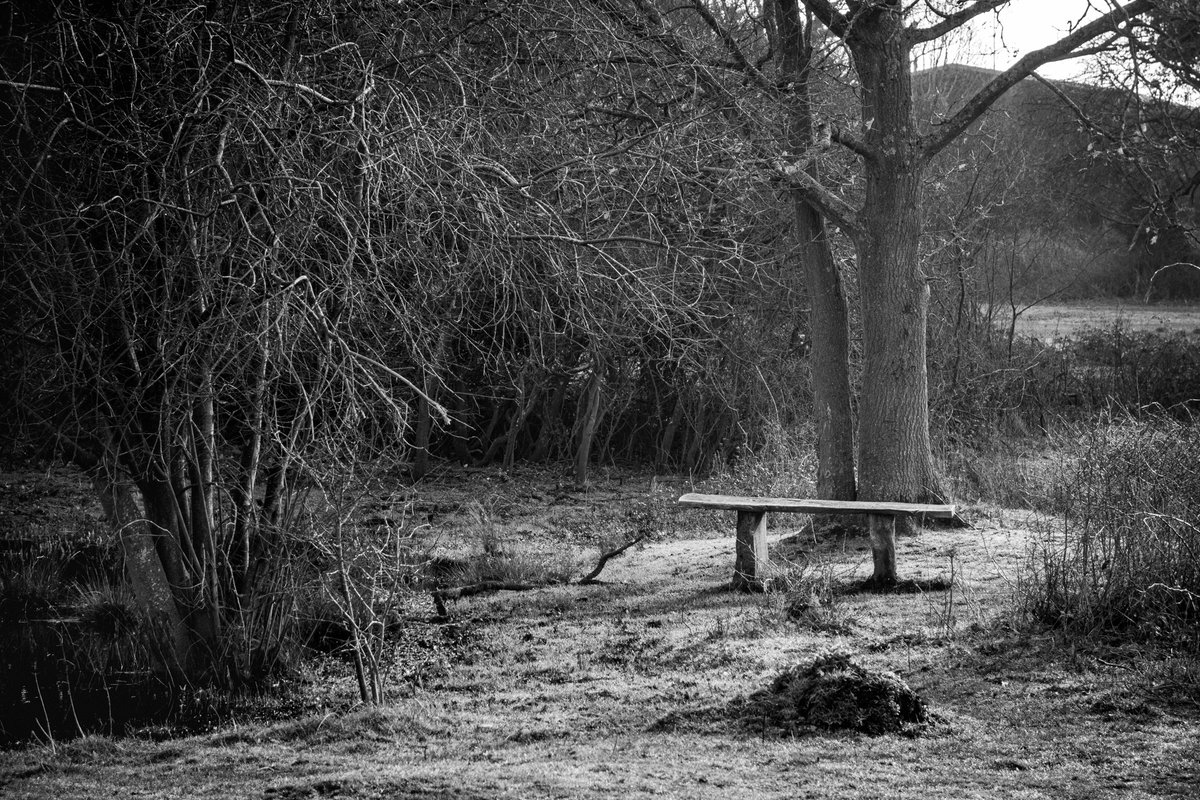 Croxley Common Moor

#SonyRX100

#blackandwhite #blackandwhitephotography #monochrome #bnw #bnwphotography
#monochromatic 
#bnwlandscape #bnw_landscape