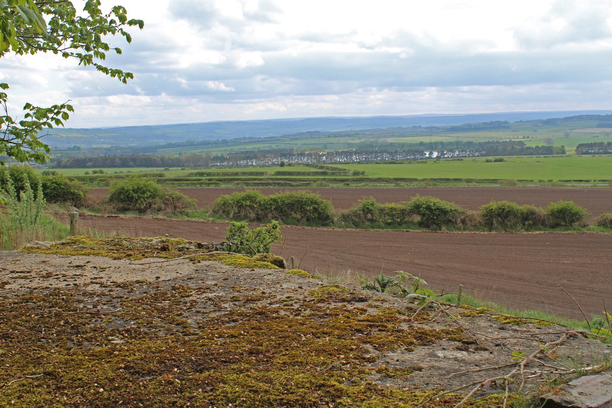 MD_Briggs's tweet photo. Found a very welcome #bench on #Harlow Hill @MyFaveBench.
Great views of Whittle Dene with #TyneDale in the distance ๐
But you've got to wonder who's watching.....
......an old observation post from nearby RAF #Ouston - also with great views of course....... https://t.co/vIuI8mqCOr