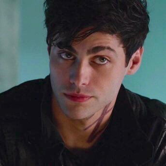 Alec Lightwood as Amy Santiago• hard working• loyal • craves approval from authorities • awkward but badass• type A personality • always reached for high positions in their careers