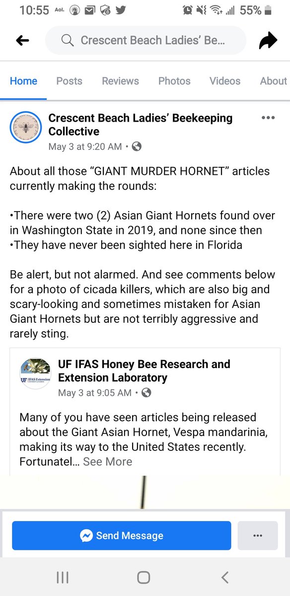 _secor's tweet photo. @SandraSmithFox  old news on Asia hornet https://t.co/yPRDADfA43