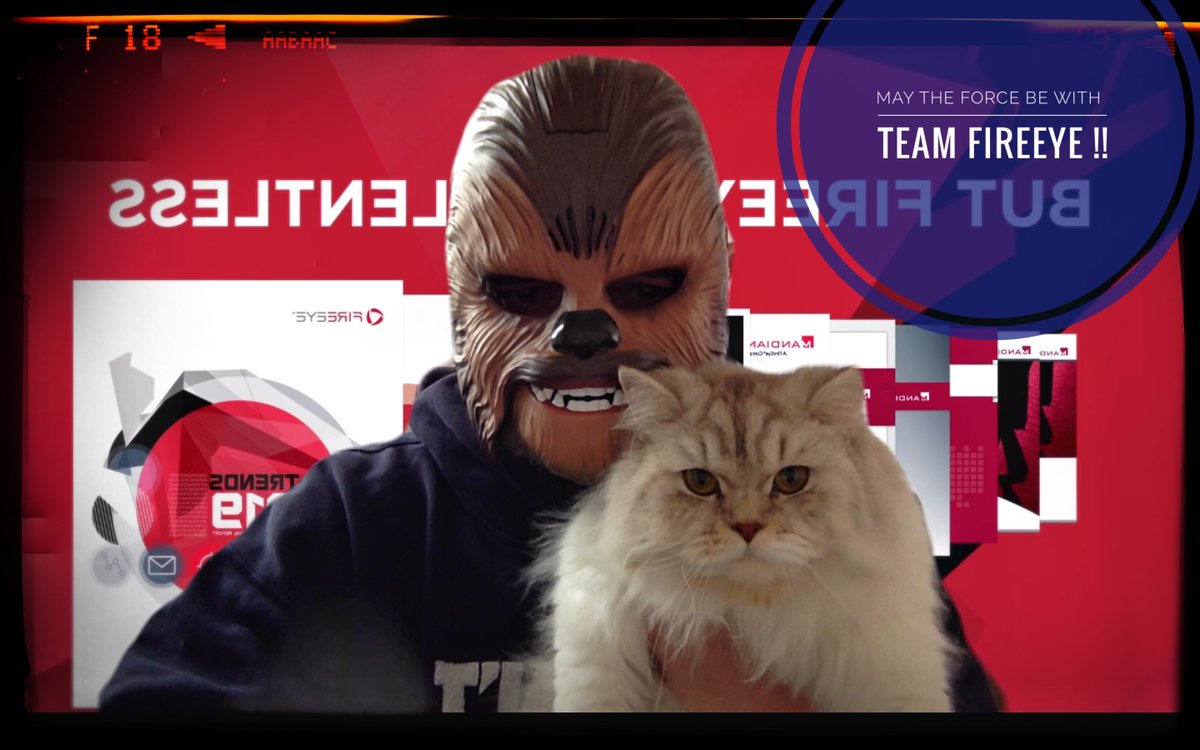 Life @ Trellix tweet media