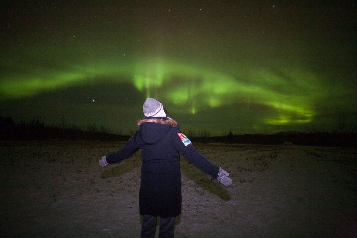 Take on the week like... #auroraborealis #northernlights #ExploreYukon