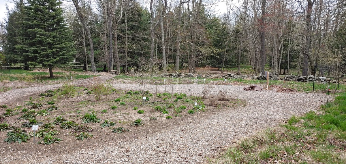 Back <a href="/deerpondfarm/">Brett M. Alexander</a> cleaning up pollinator garden. #volunteering #ctpollinators #ctlandscapes
