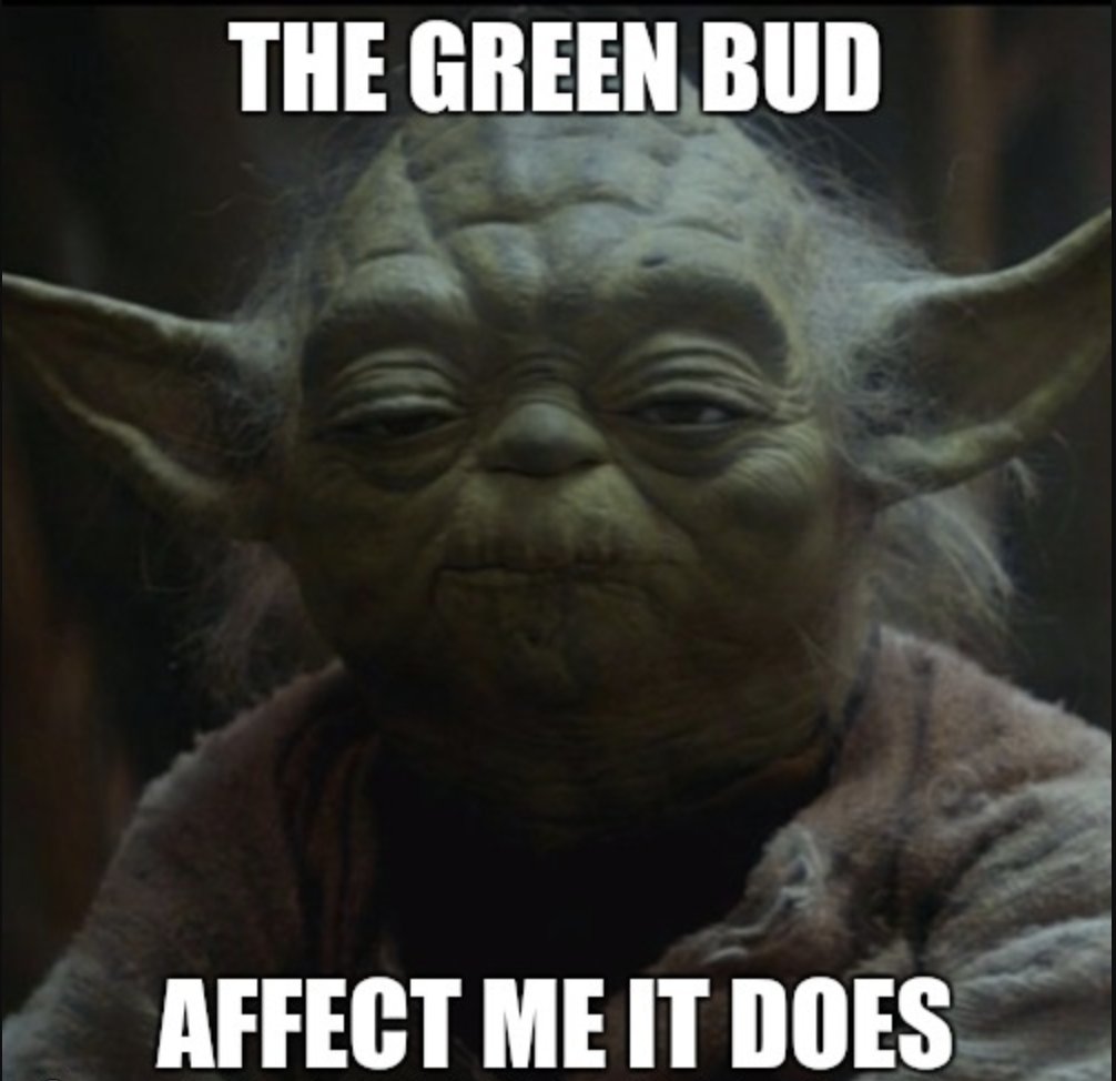 #Maythefourthbewithyou