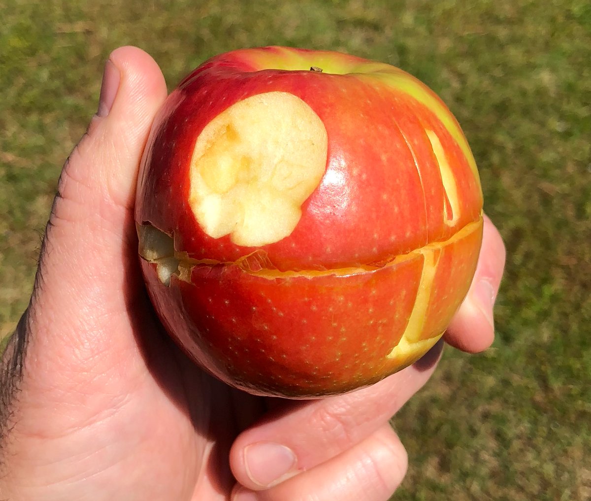 Lindsay Thomas Jr. tweet media