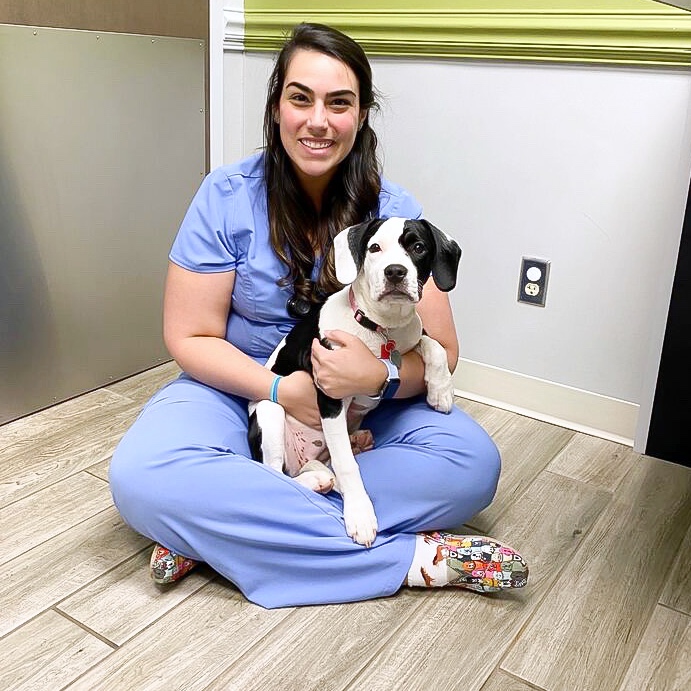 AMHCharlotte's tweet photo. Mona came in for her last puppy visit with Dr. Bocchicchio!! https://t.co/s5lbhsK5Ab