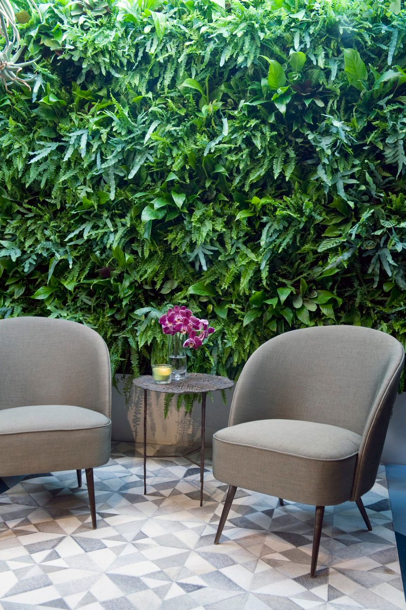 InteriorPark_EU's tweet photo. NEW on our platform: the Dutch experts for #greenwalls. As the market leader in the #sustainable development and delivery of patented innovative #greensystems Mobilane cares for #healthyinteriors and a pleasant atmosphere
https://t.co/STRoMIAHb5
#indoorclimate #greenarchitecture https://t.co/kf4I8hlIPH