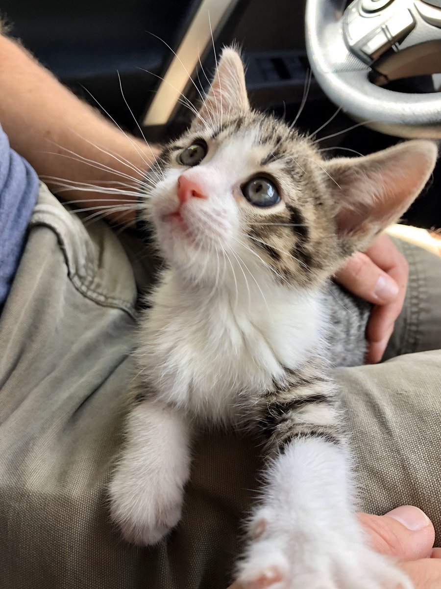 Dan Thornhill tweet media