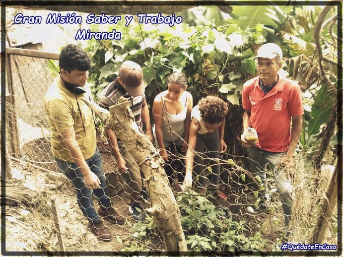 GmsytM's tweet photo. #Miranda En medio de la pandemia muchos paises doblegados al imperio intentan invadirnos mientras en pueblo que quiere paz que quiere vivir en paz se encuentra en batalla contra las adversidades.. #ProducirEsVencer @NicolasMaduro @HectoRodriguez @lilianacontigo @ZulibethBriceno https://t.co/TUPoeoAYut