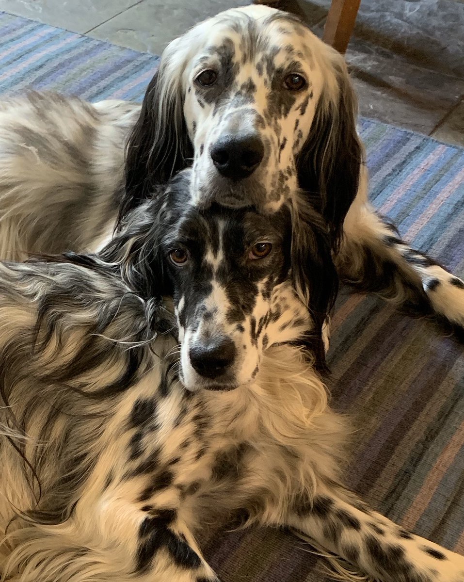 Friends are for leaning on!