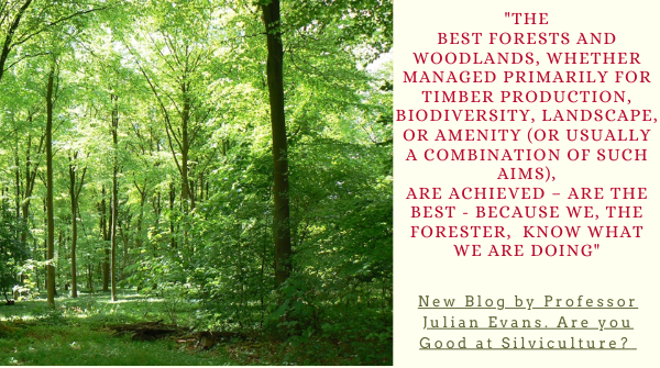 royal_forestry's tweet photo. Silviculture is the Cinderella of forestry, and it shouldn't be.  Read Part One of this two part blog by Professor Julian Evans https://t.co/z1nB9yt4hJ #silviculture #woodlandmanagement #forestryskills https://t.co/S9IvK4Y2Ib