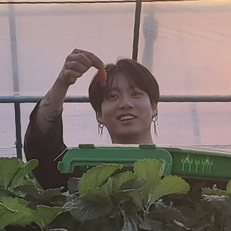 tinyskook's tweet photo. a baby was found in the middle of the strawberry field 🥺 https://t.co/q37rc7u2Mq