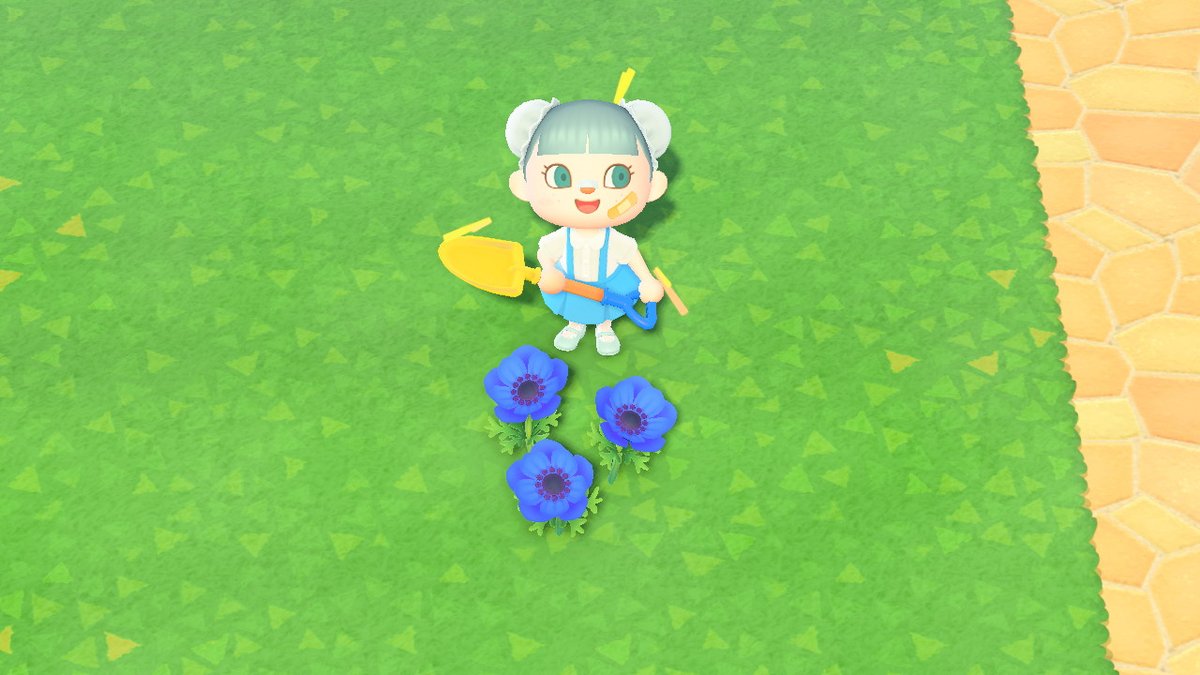AlexAtlantis's tweet photo. premiere anémone bleue !! trop jolie, j'adore la couleur !! #AnimalCrossing #ACNH #NintendoSwitch https://t.co/LNgn03tByr