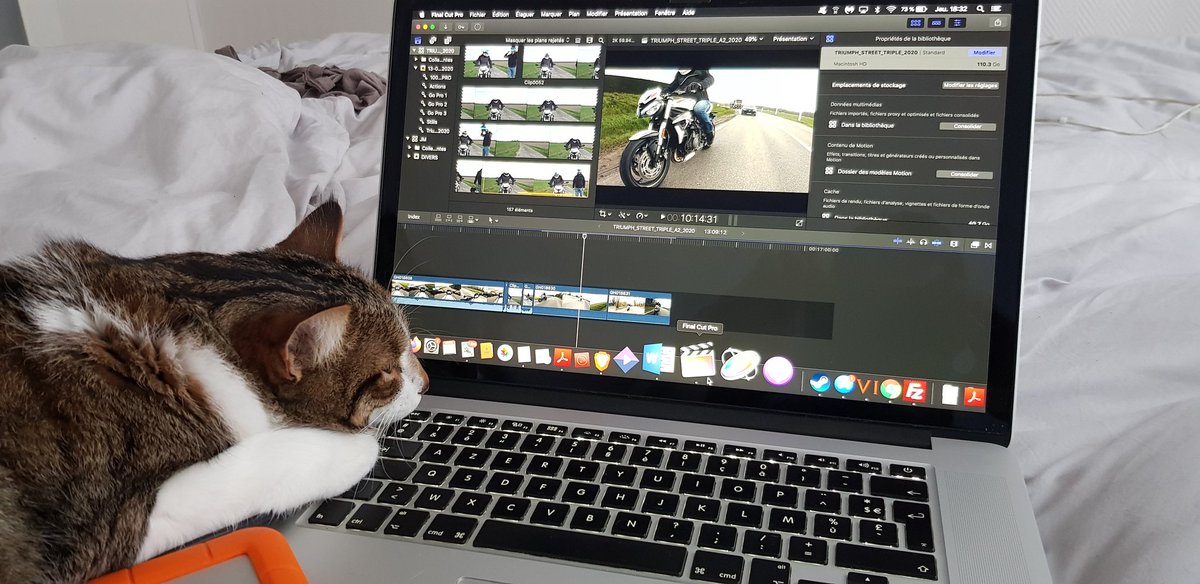 A2Riders's tweet photo. Les joies du télétravail #motorlive #chat #confinement https://t.co/u9k7Vfqppd
