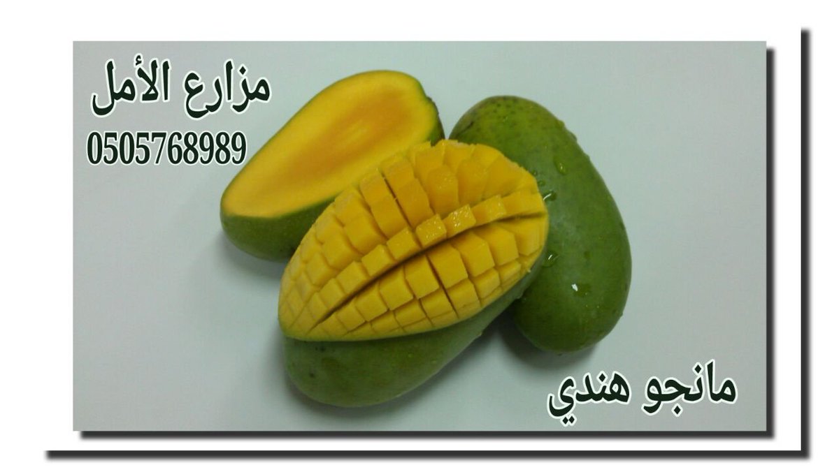 Shatla_1's tweet photo. مانجو جازان بين يديك اطلبها ولا تتردد من مزارع ومشاتل الأمل جيزان 0505768989 https://t.co/EiU5Na7QuK