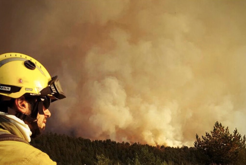 Del_Busto's tweet photo. 💚🟢 Hoy, #DíaMundialDelBomberoForestal, debemos recordar a aquellas personas que perdieron su vida por salvar la de otras y sus bienes, protegiendo siempre el Interés General, el Medio Ambiente y nuestro Patrimonio Nacional 🟢💚
#BRIF @BrifTineo #ADCIF @mitecogob https://t.co/PrrNIWsUAu