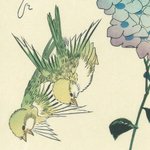 main image of this resource