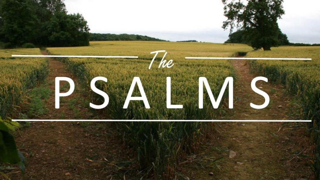 man_of_proverbs's tweet photo. Psalms Devotional--Part IV
#Psalms #Bible #Devotional #worry https://t.co/o49ec8Kkyb https://t.co/WEFVFr2dZv
