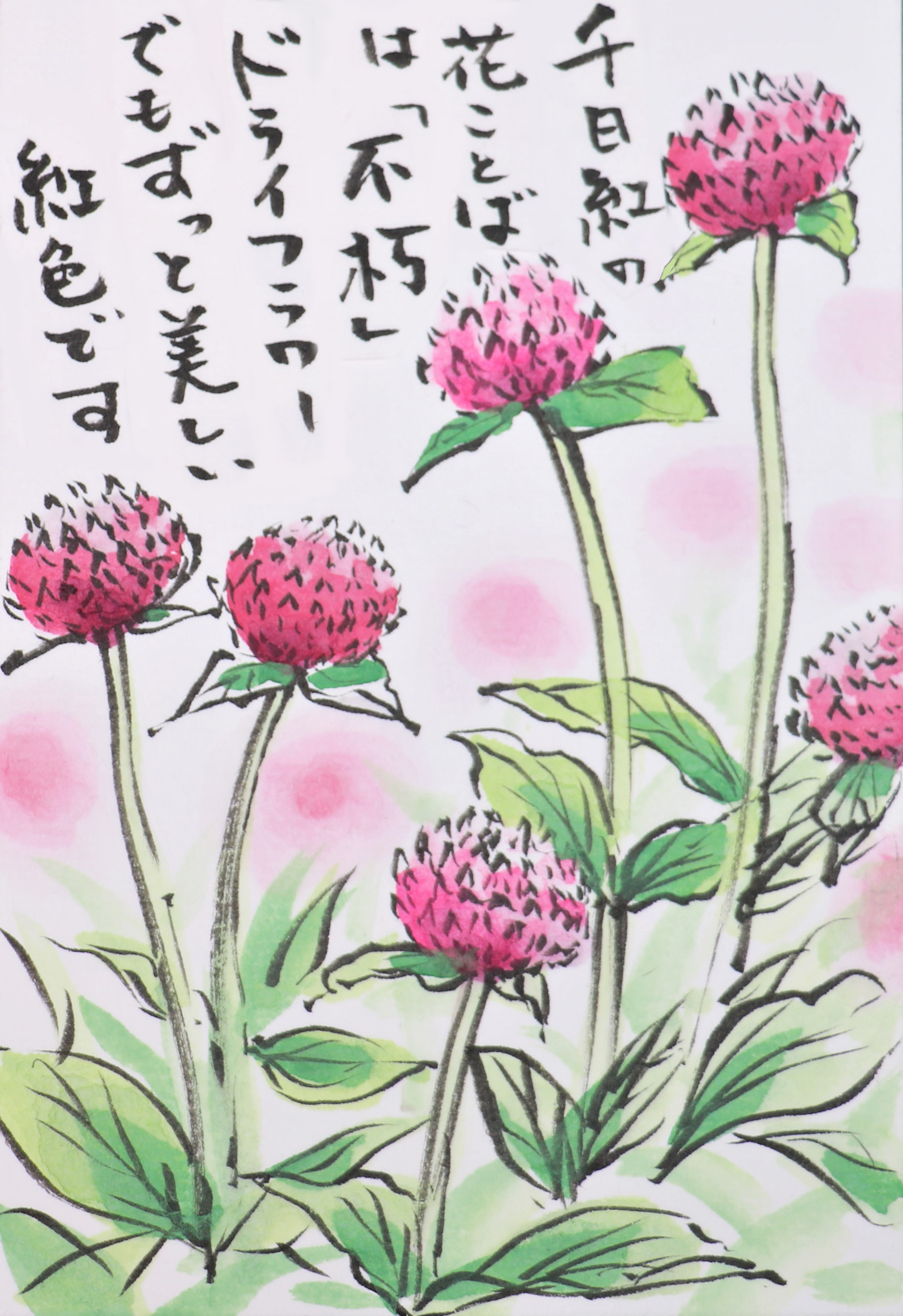 Twitter 上的 快適art絵手紙 春も過ぎてだんだんと暑い日もでてきましたね 最近描いたお花たち 千日紅は名前の如く開花時期が長く初夏に咲き始めます Youtube描き方解説動画アップしました 花菖蒲 T Co 6y1lm80bow 千日紅 T Co Spxirl42bl