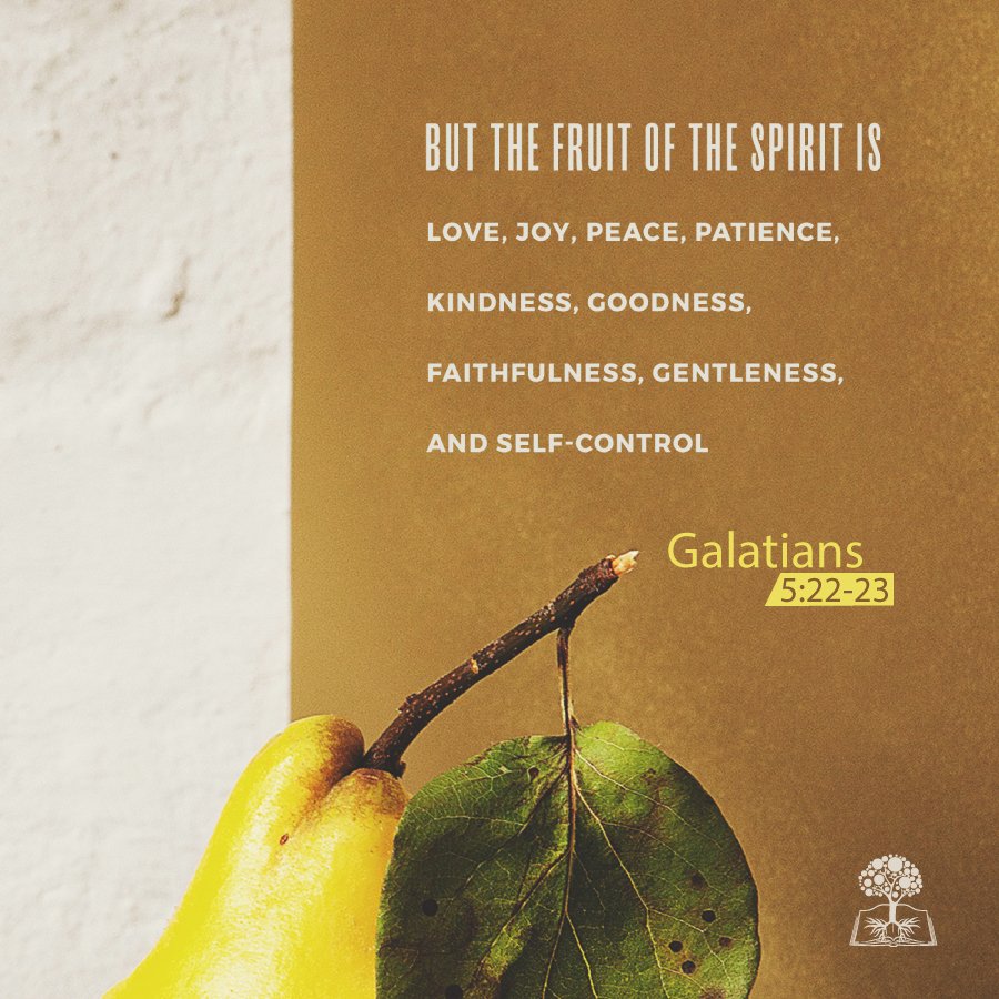CCEldoret's tweet photo. But the fruit of the Spirit is love, joy, peace, longsuffering, kindness, goodness, faithfulness, gentleness, self-control. Against such there is no law.
~Galatians 5:22-23.

#GrowingDeeperTogether 
#CCEldoret https://t.co/cYE2lXvGoJ