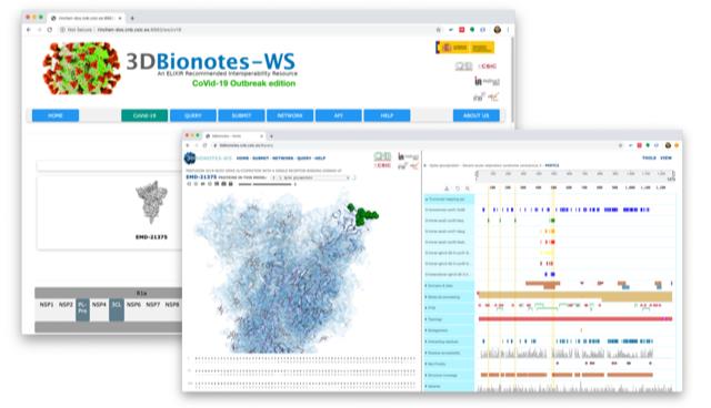 I2PC - Instruct Image Processing Center (@instructi2pc) on Twitter photo #3DBionotesCOVID19 application is now live ➡️ 3dbionotes.cnb.csic.es/ws <a href="/instructhub/">Instruct-ERIC</a> <a href="/ELIXIREurope/">ELIXIR Europe</a> <a href="/CNB_CSIC/">Centro Nacional de Biotecnología (CSIC)</a> #3DBionotesCOVID19 application is now live ➡️ 3dbionotes.cnb.csic.es/ws <a href="/instructhub/">Instruct-ERIC</a> <a href="/ELIXIREurope/">ELIXIR Europe</a> <a href="/CNB_CSIC/">Centro Nacional de Biotecnología (CSIC)</a>