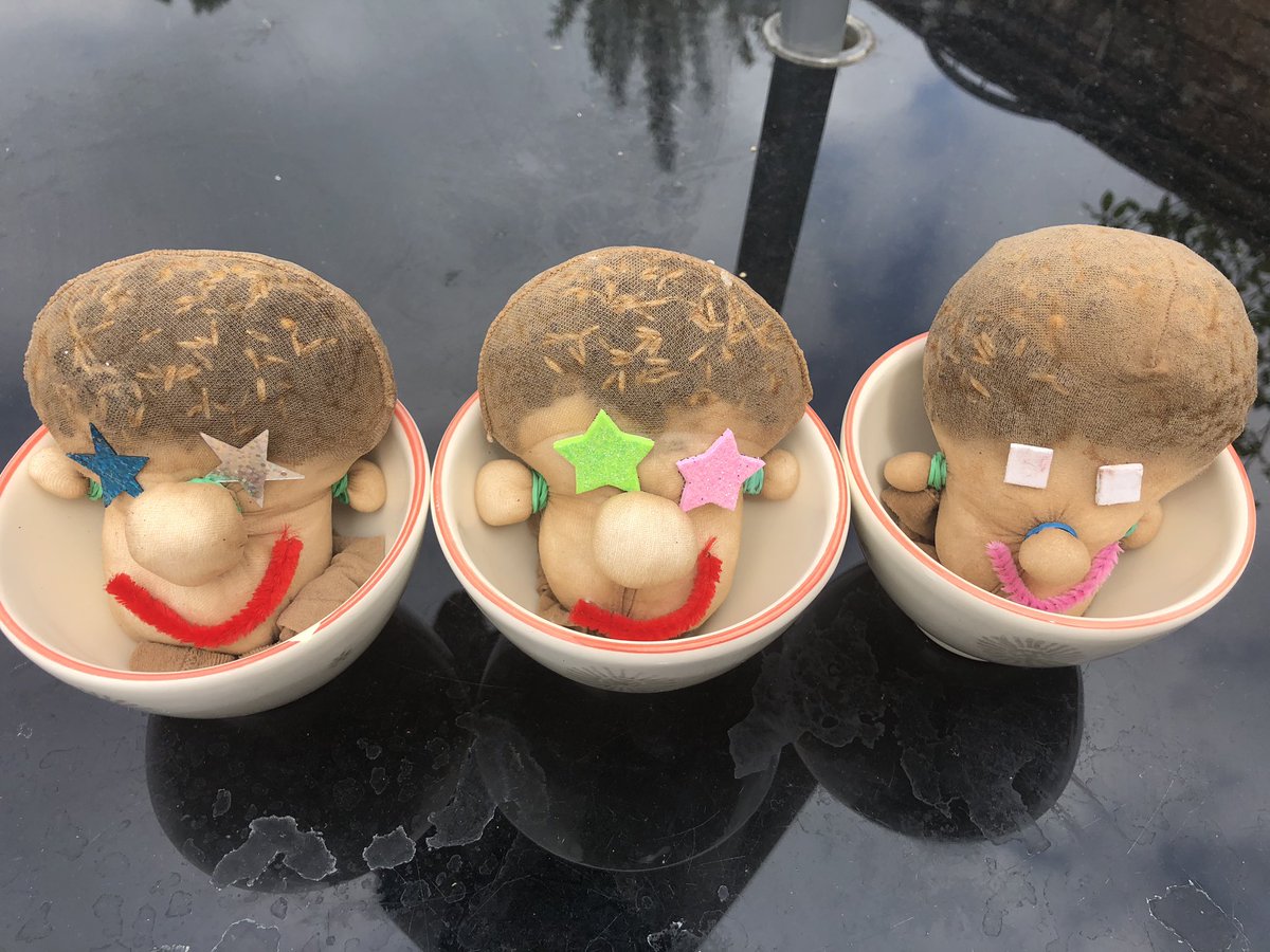 Jo_Lally's tweet photo. @ClaphamTerrace1 Weโve made our family into these little fellas. Grass seed forms their heads and we are hoping for their grass hair to grow so we can practice hair cutting! #mrmaker https://t.co/xKrvQHzaMU