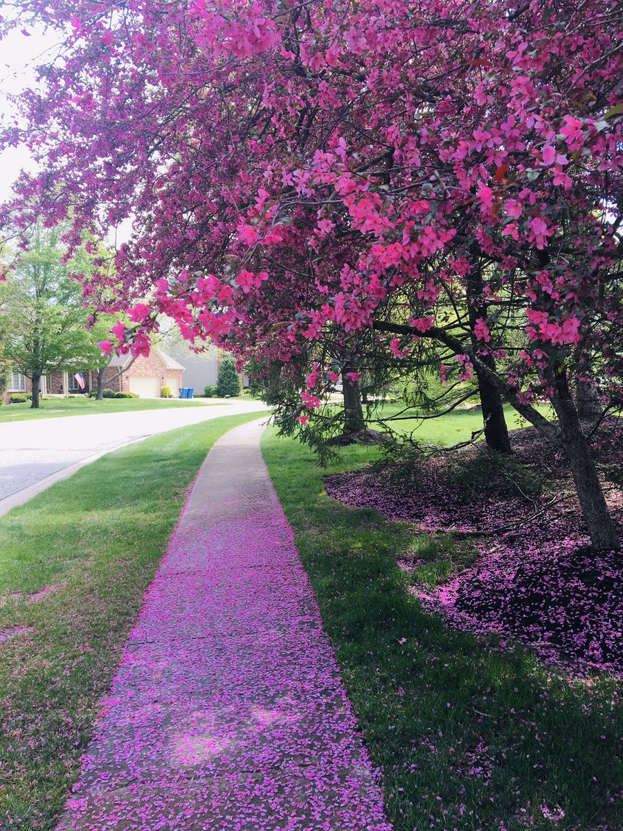 GinaSerf's tweet photo. 💖Month of May💖 #walkingviews https://t.co/SIUnURYpTG