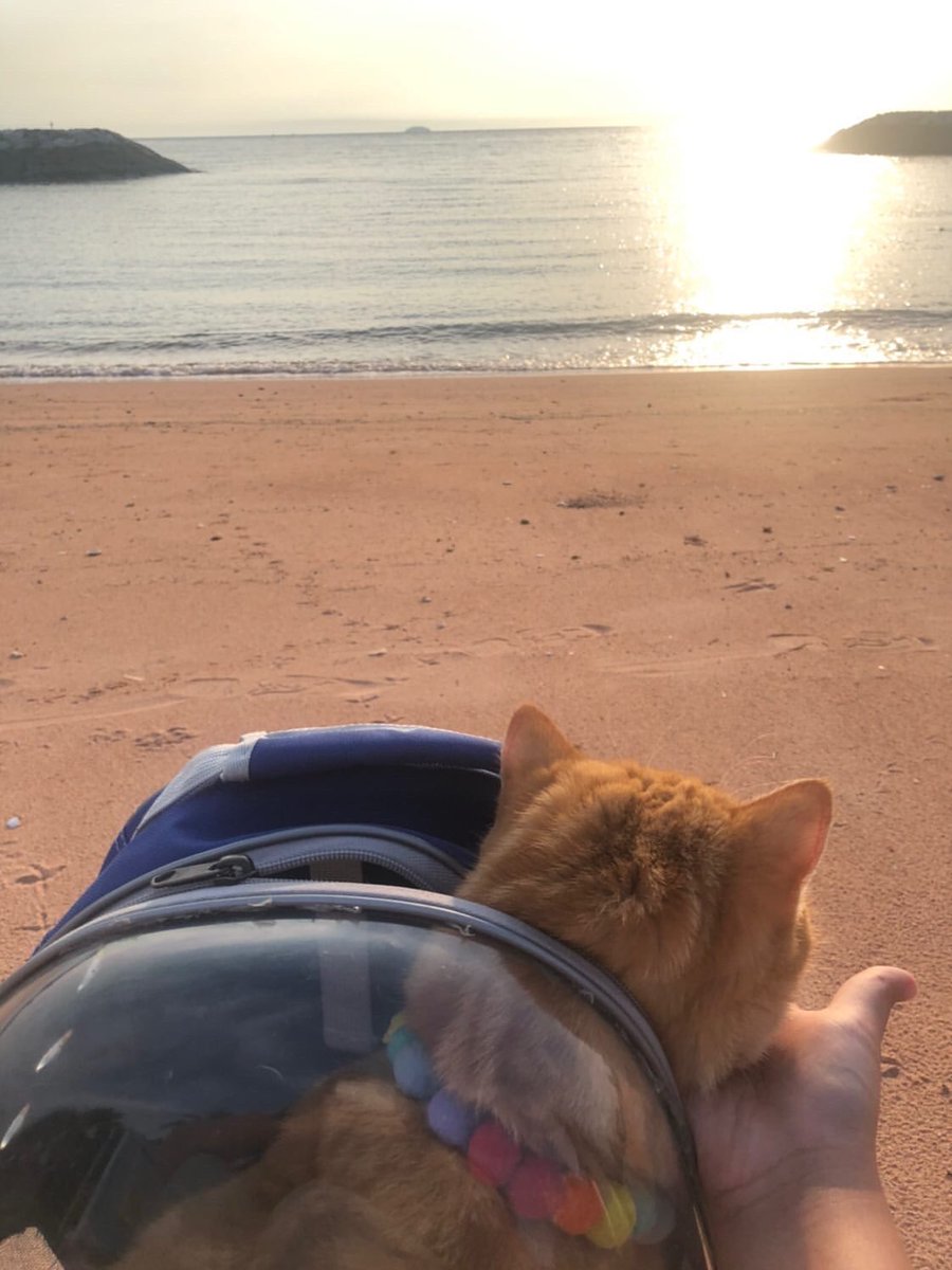 <a href="/1stmergentx/">𝕸er - gent @close</a> เกาะสวาท หาดสวรรค์