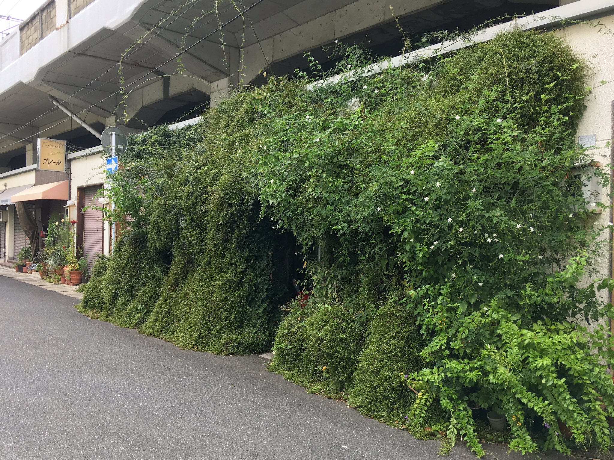 葉飾 みどりの日なので 中津駅の高架下にある緑に埋まる花屋さん ガーデンナチュール T Co Wpdx96nb3u Twitter